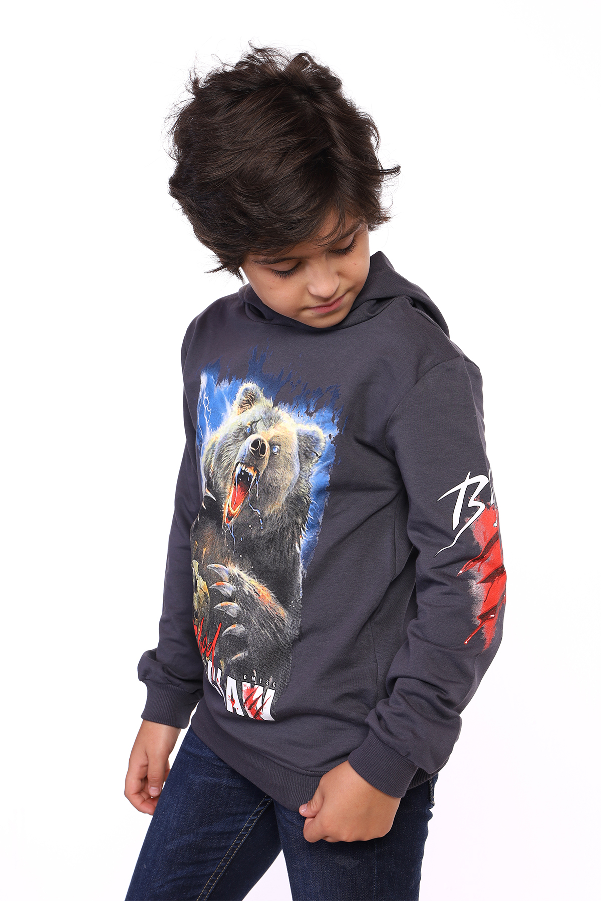 Toontoy Erkek Çocuk  Aslan ve Blood Clan Baskılı Sweatshirt