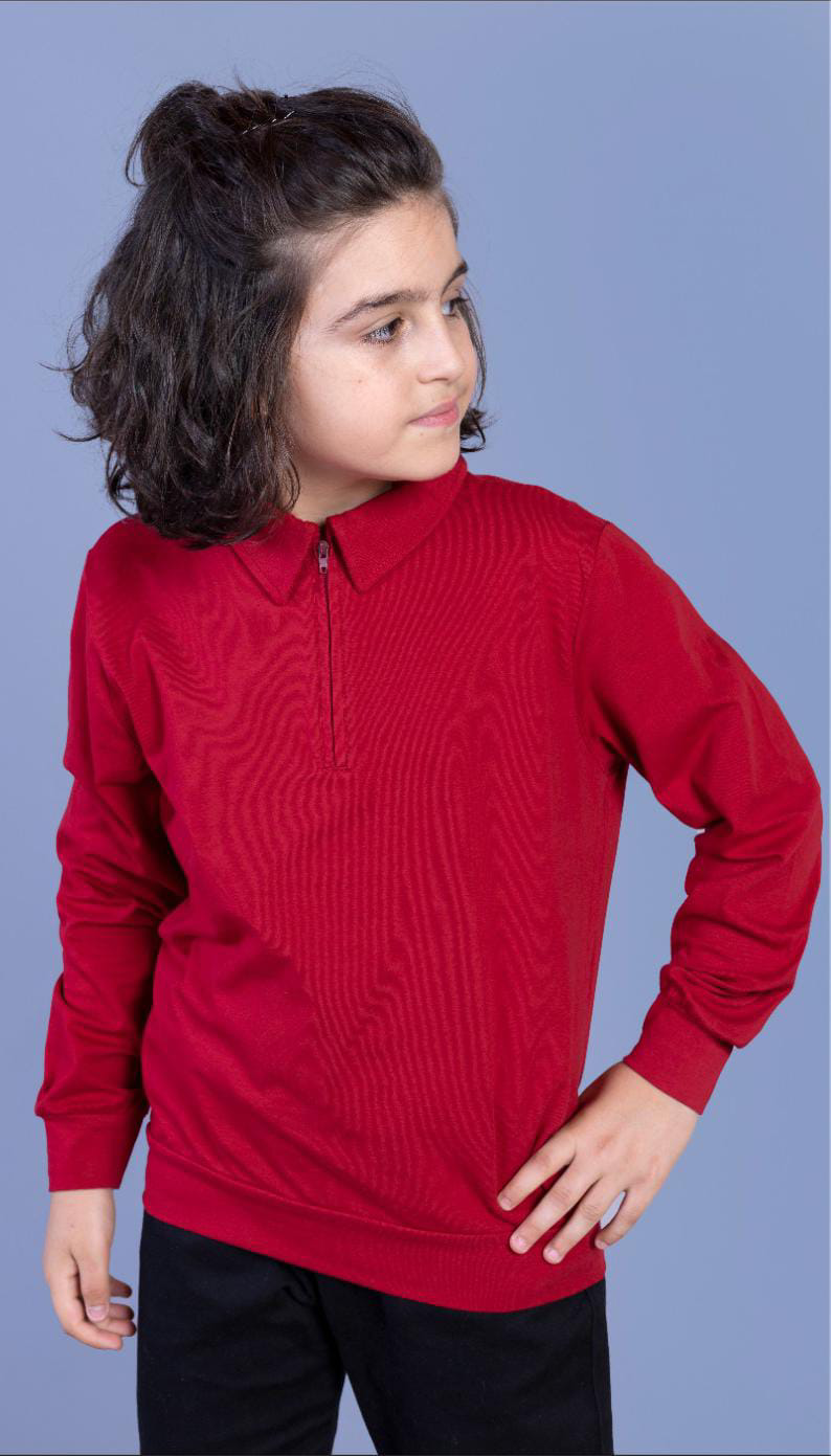 Toontoy Erkek Çocuk Polo Yaka Sweatshirt