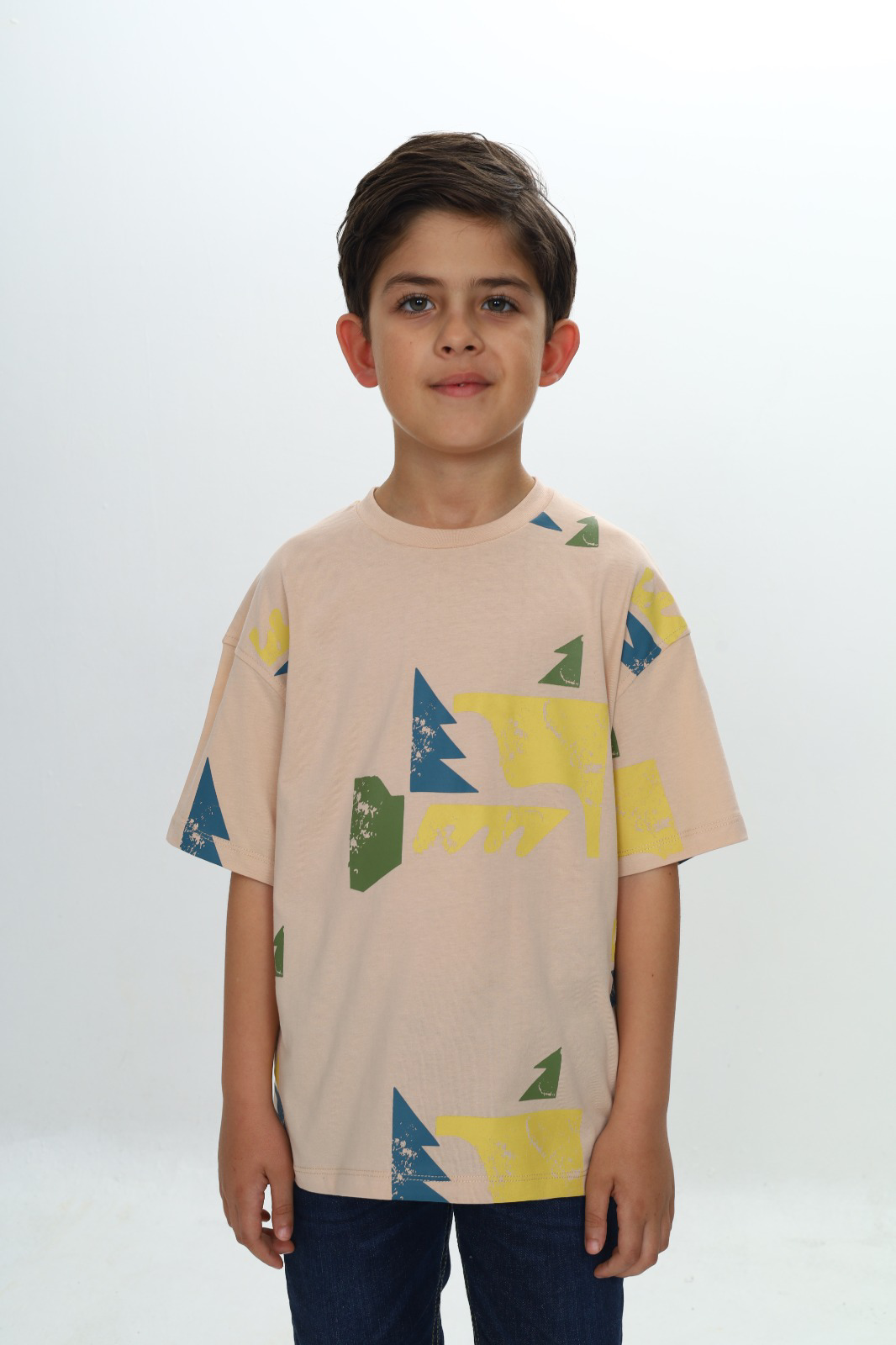 Toontoy Erkek Çocuk Kapüşonlu Baskılı Sweatshirt