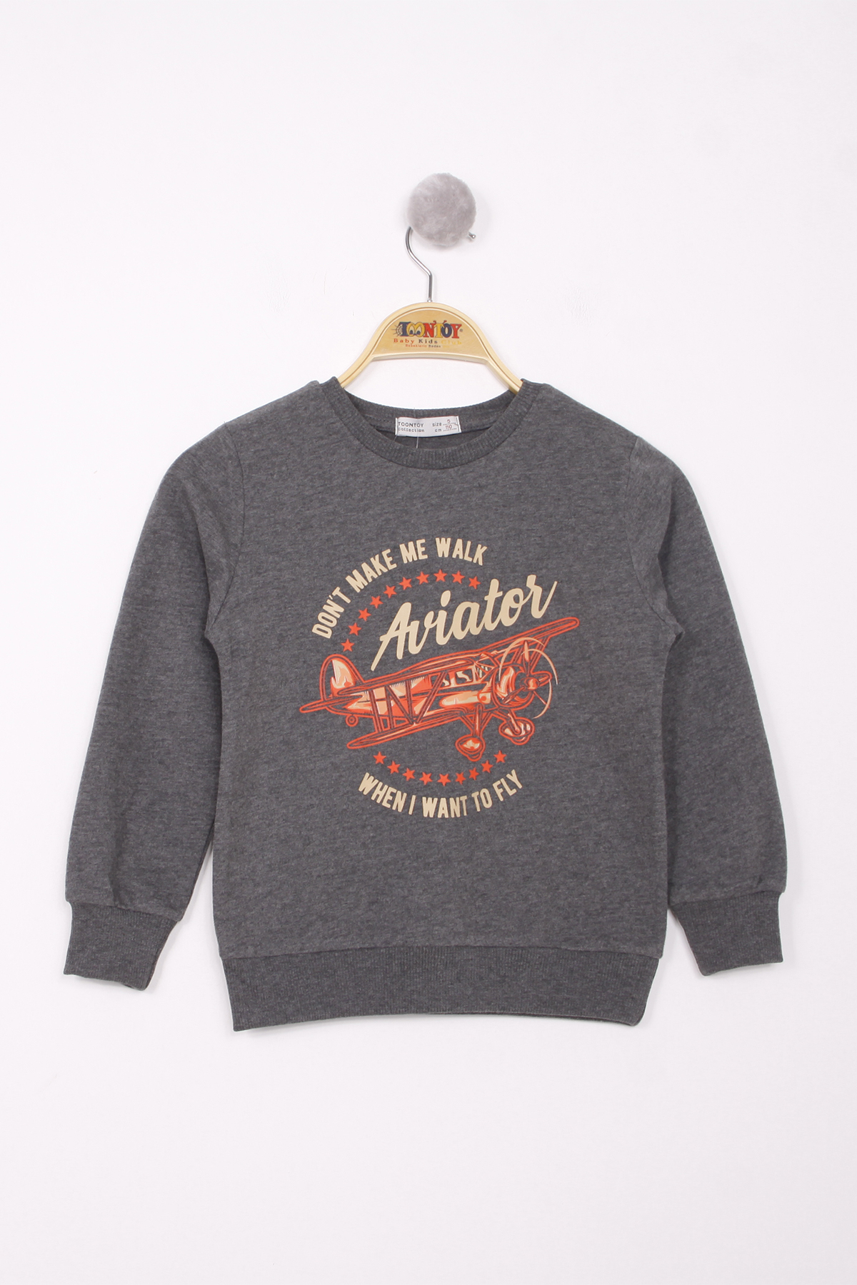 Toontoy Erkek Çocuk Uçak Baskılı Sweatshirt