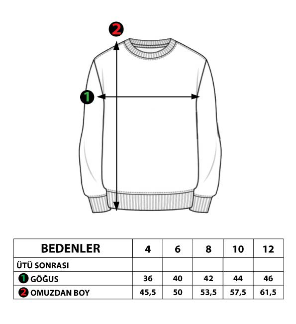 Toontoy Erkek Çocuk Balıkçı Yaka İçi Pamuklu Sweatshirt