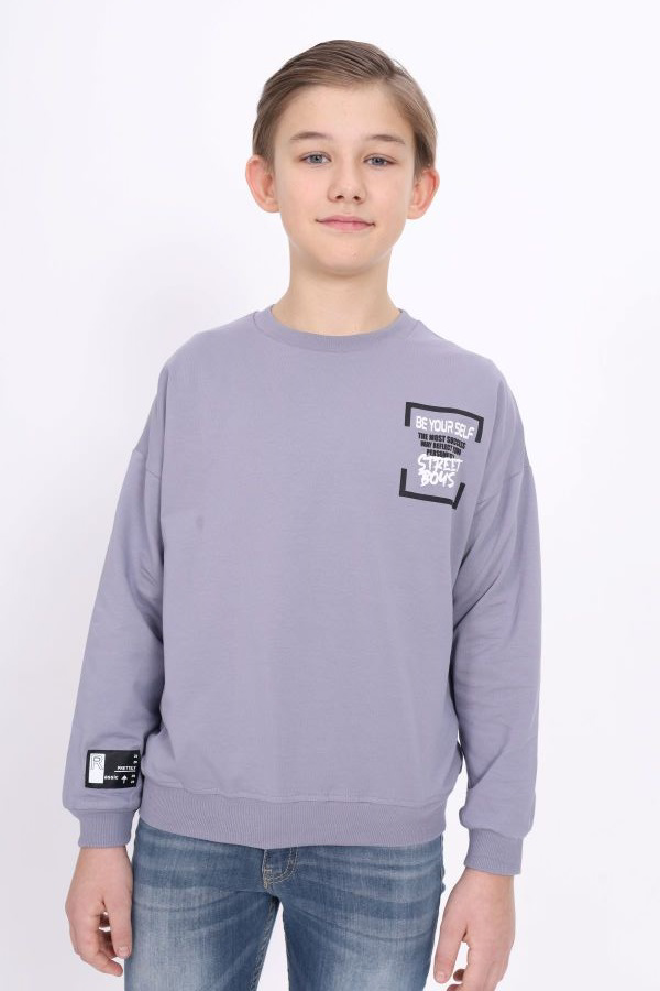 Toontoy Erkek Çocuk Baskılı Sweatshirt