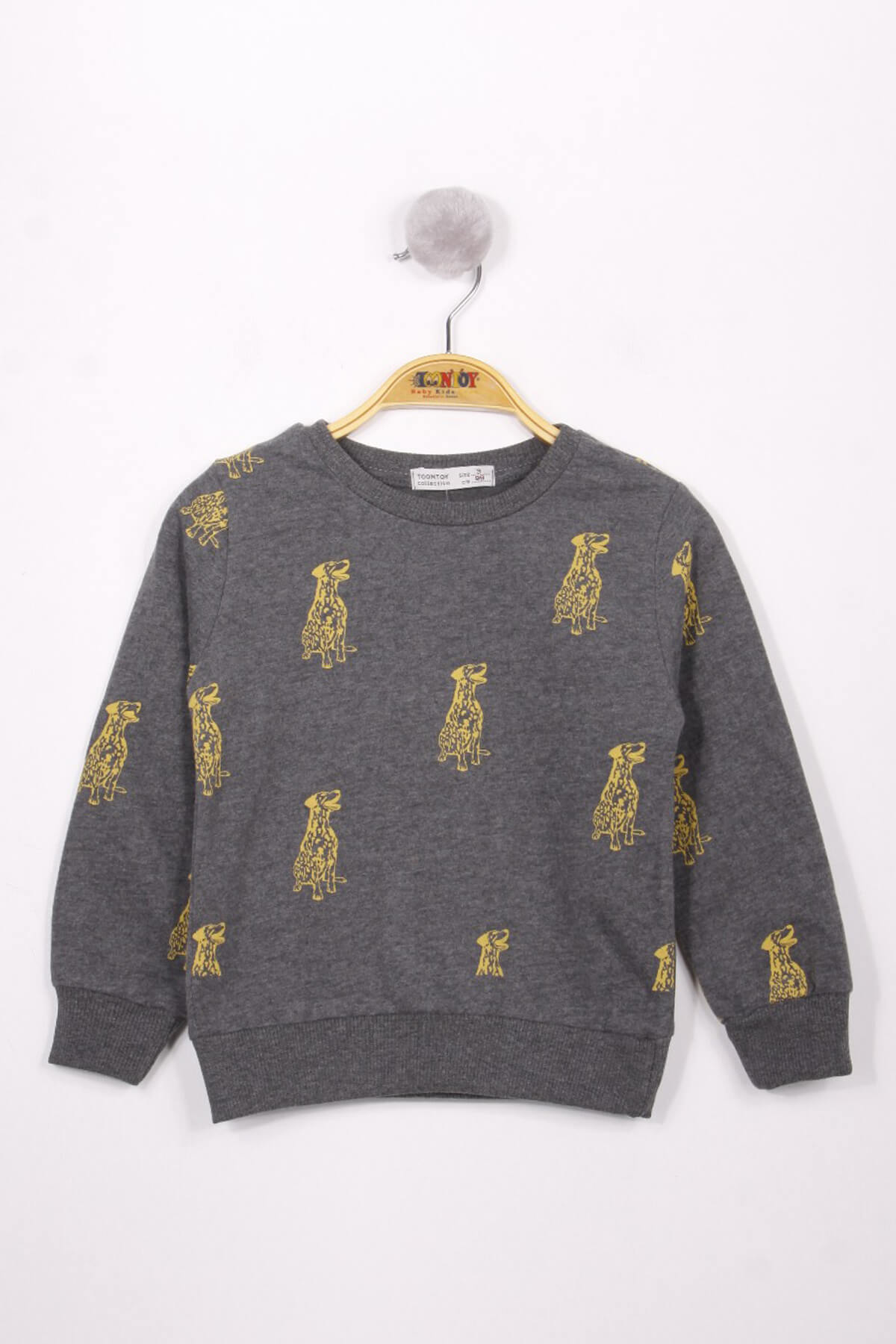 Toontoy Erkek Çocuk Köpek Baskılı Sweatshirt