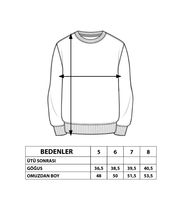 Toontoy Erkek Çocuk Premium Baskılı Sweatshirt