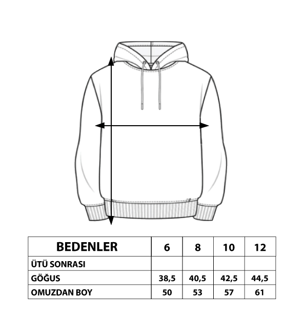 Toontoy Erkek Çocuk Garnisi Baskılı Kapüşonlu Sweatshirt