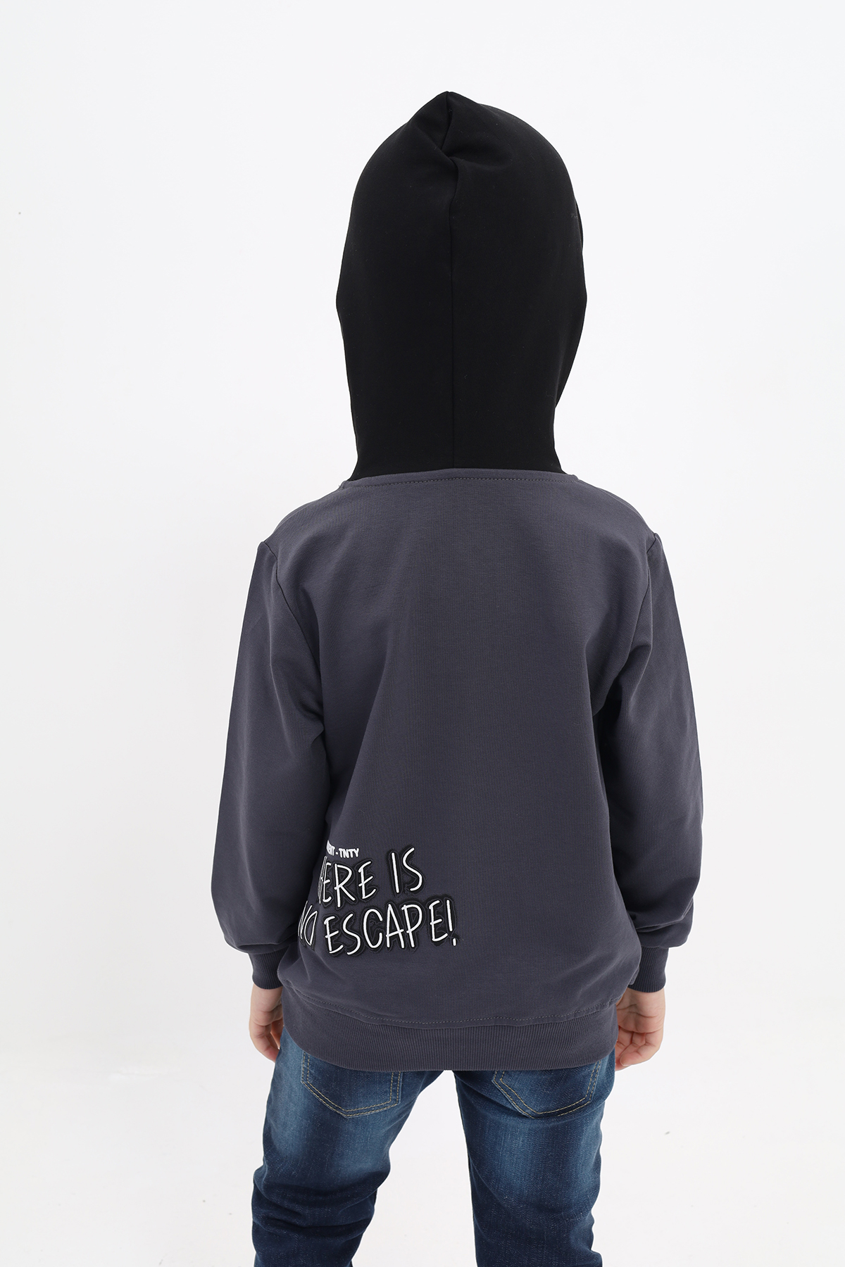 Toontoy Erkek Çocuk Baskılı Sweatshirt