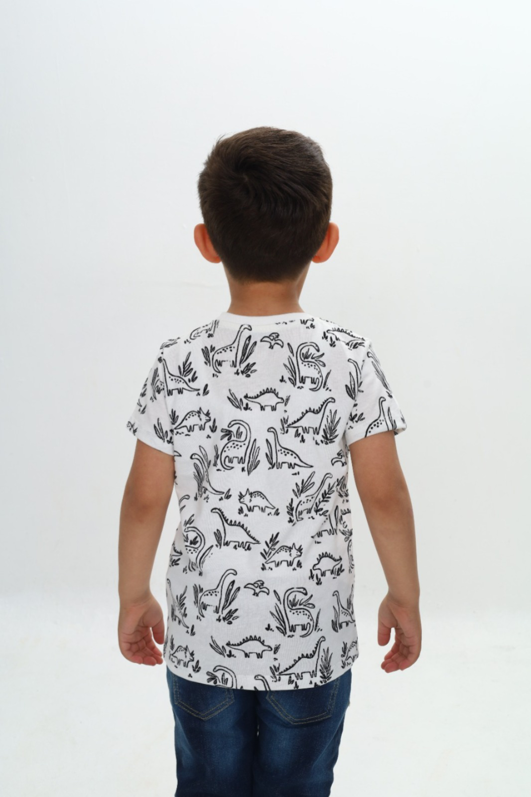 Toontoy Erkek Çocuk Komple Dinazor Baskılı Tişört