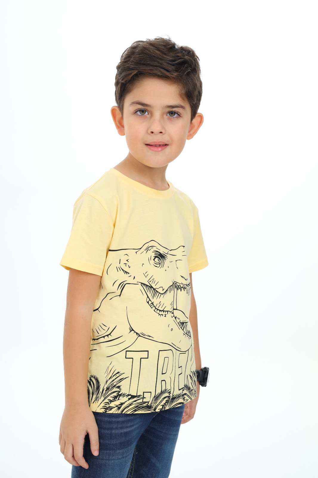 Toontoy Erkek Çocuk Trex Baskılı Tişört
