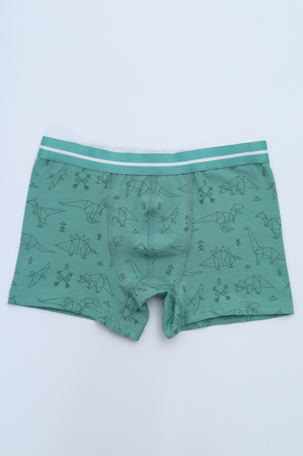 Toontoy Erkek Çocuk Hayvan Figürlü 4lü Paket Boxer
