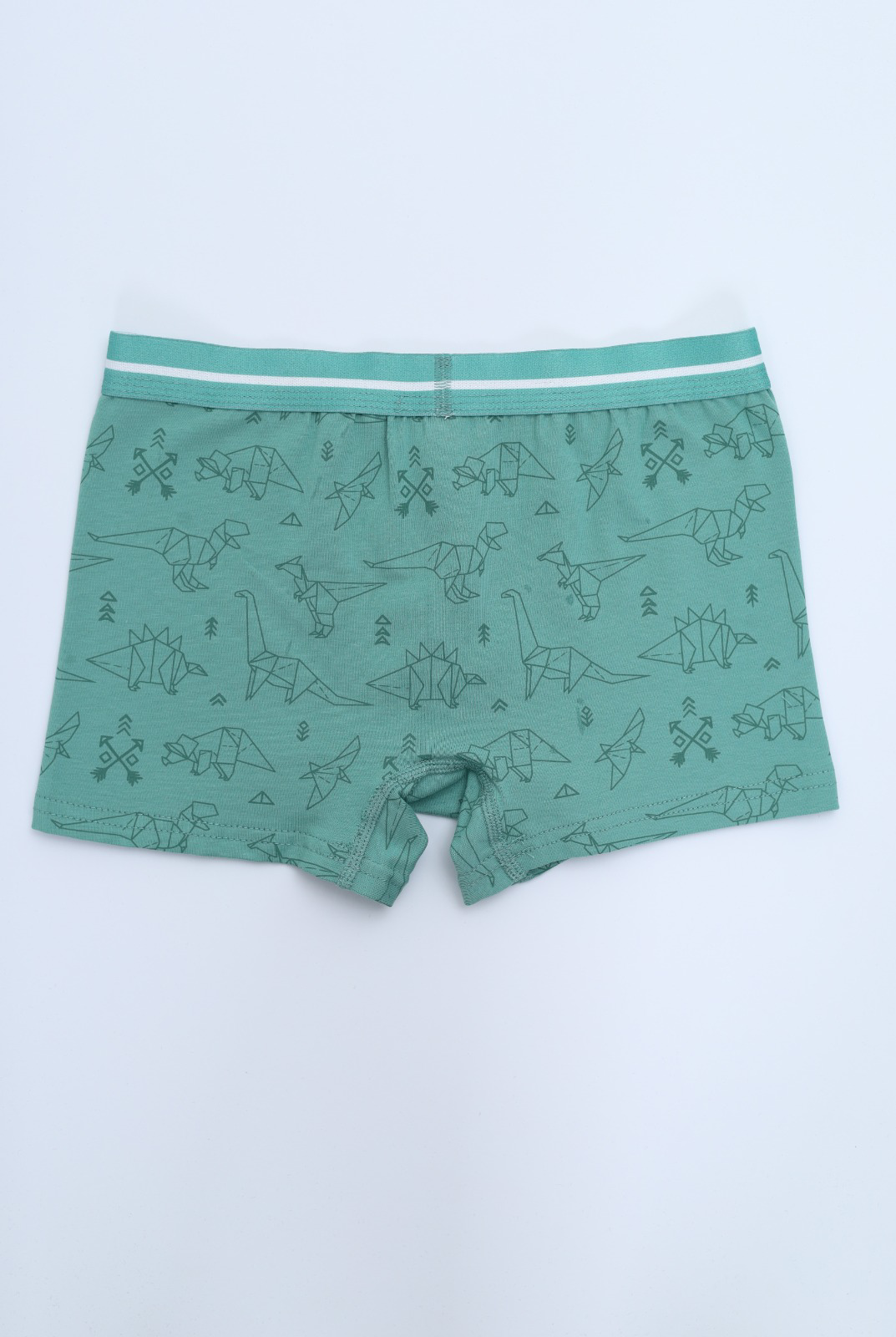 Toontoy Erkek Çocuk Hayvan Figürlü 4lü Paket Boxer