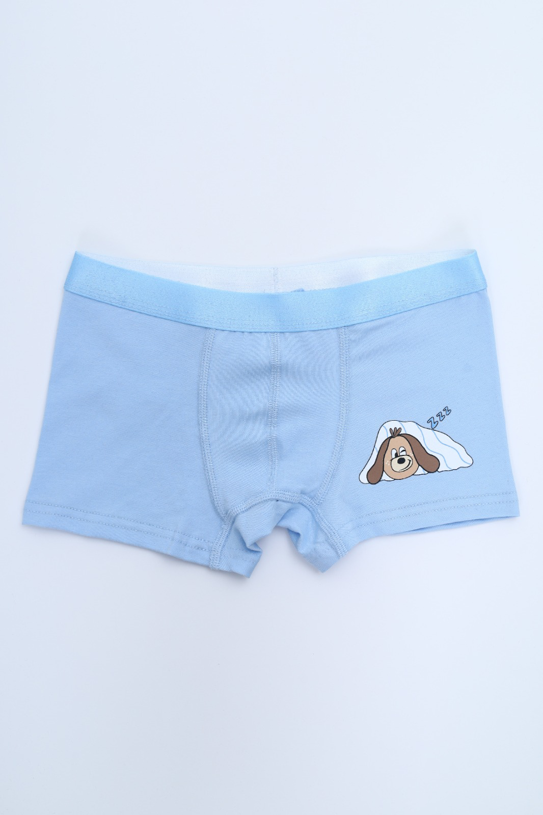 Toontoy Erkek Çocuk Baskılı Desenli 4lü Paket Boxer