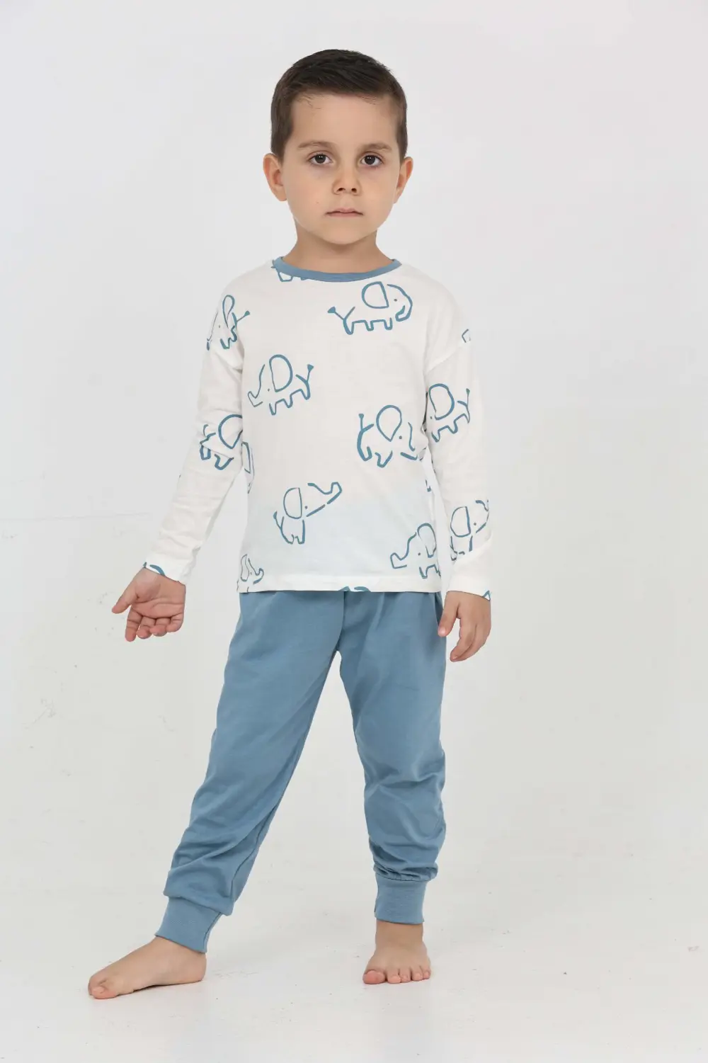 Toontoy Erkek Çocuk Fil Pano Baskılı Pijama Takım