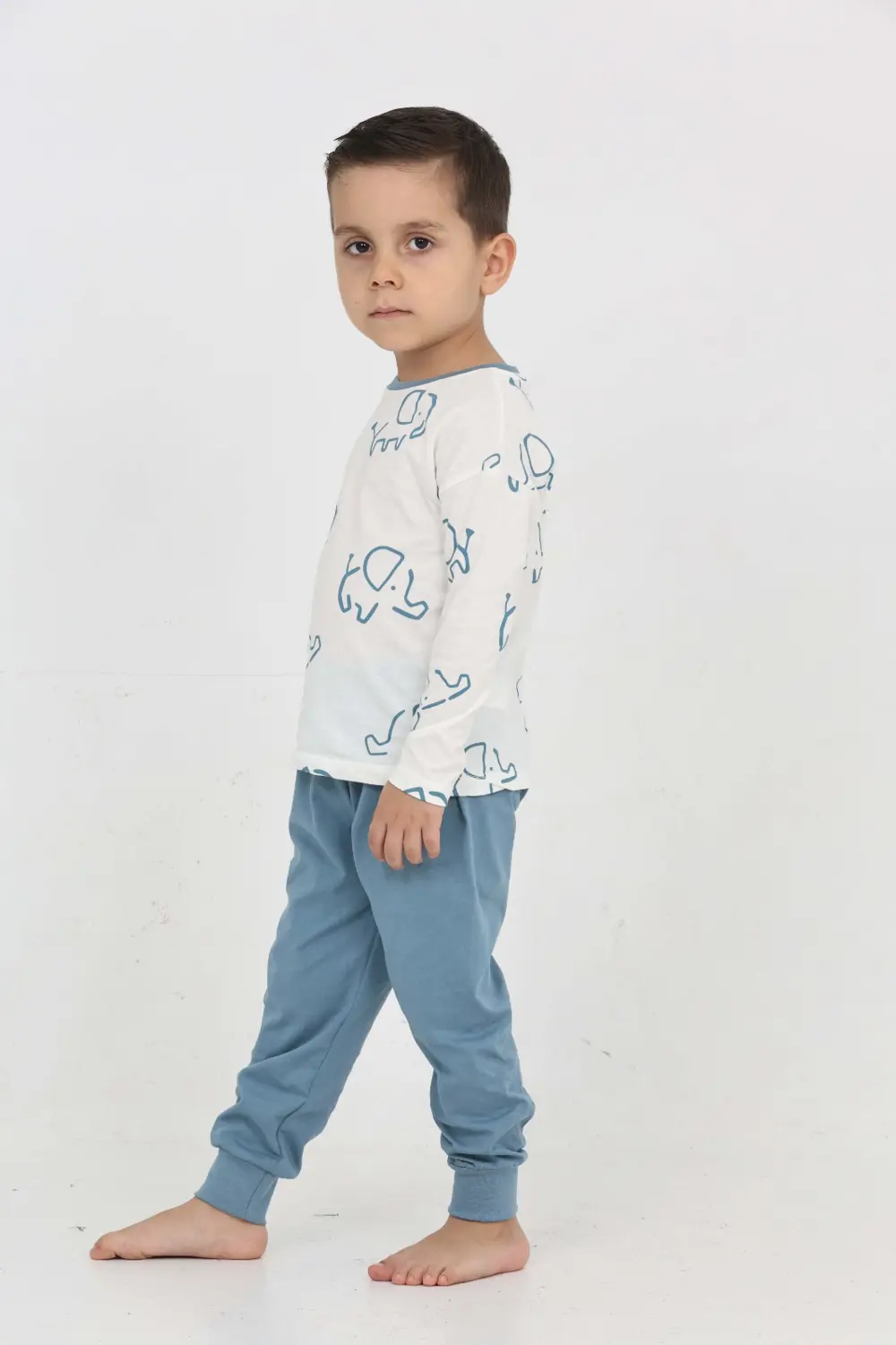 Toontoy Erkek Çocuk Fil Pano Baskılı Pijama Takım