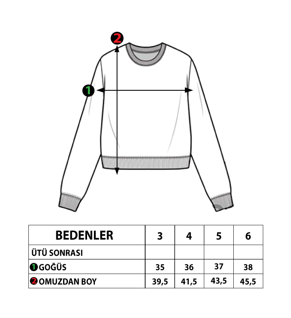 Toontoy Kız Çocuk Çizgi Desenli Baskılı Sweatshirt
