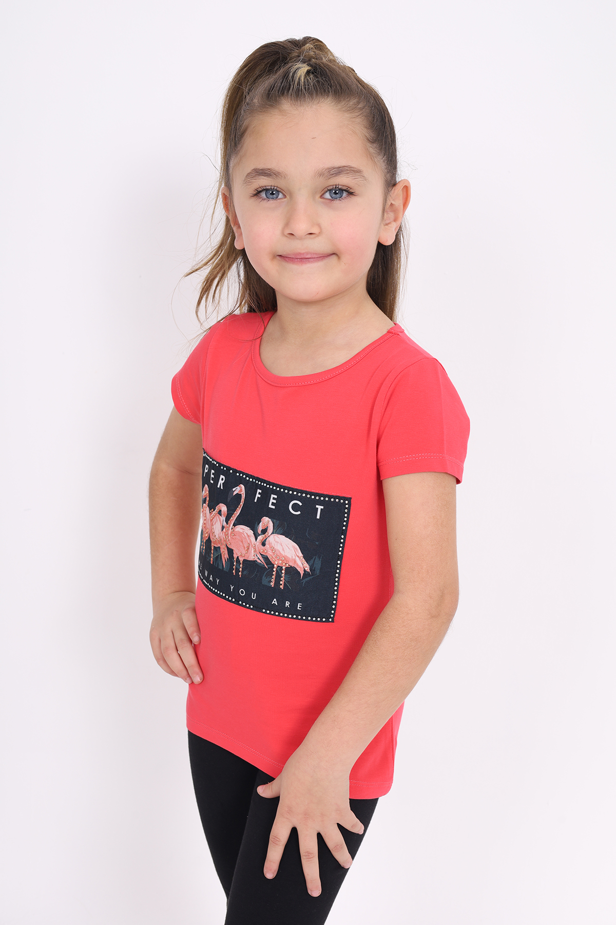 Toontoy Kız Çocuk Flamingo Baskılı Tişört