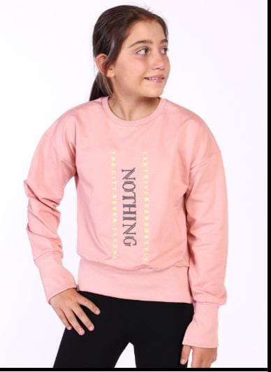 Toontoy Kız Çocuk Nakış Detaylı Sweatshirt