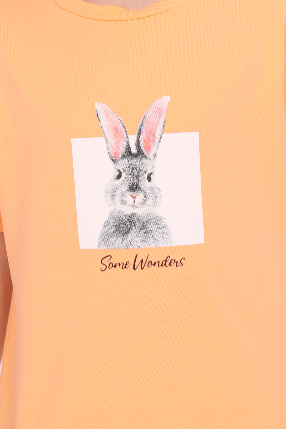 Toontoy Kız Çocuk Baskılı Tişört