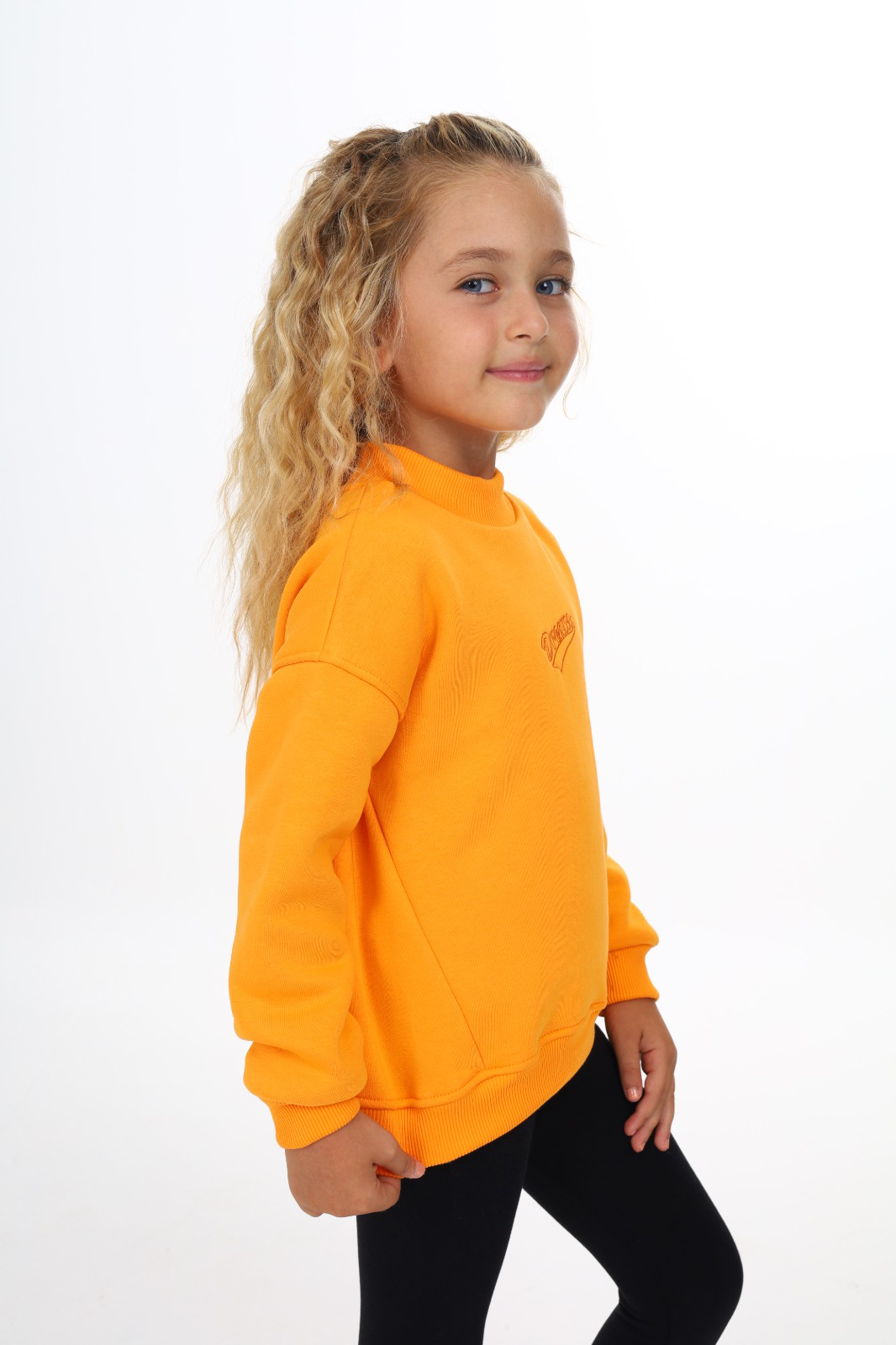Toontoy Kız Çocuk Nakışlı Sweatshirt