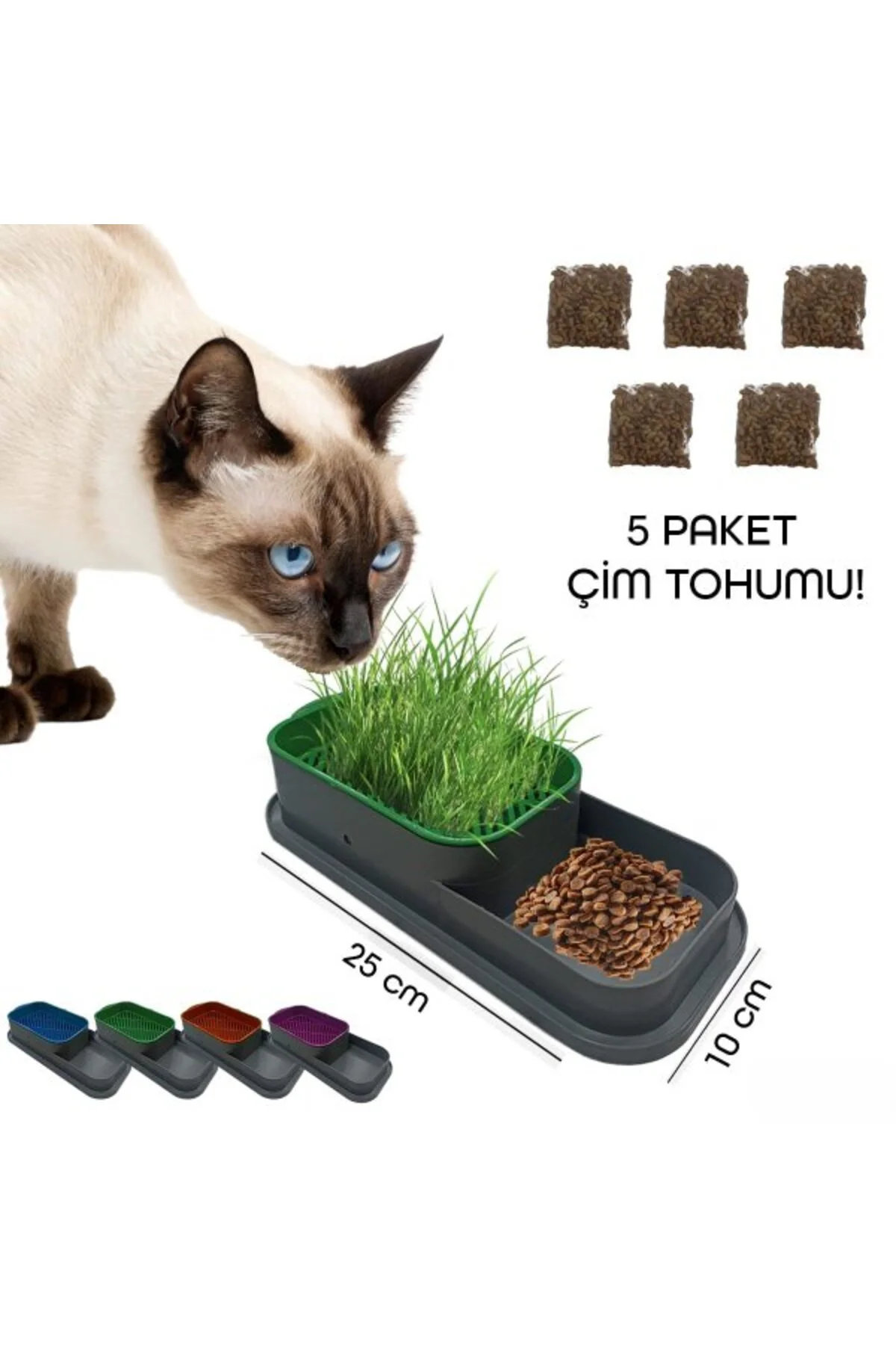 Topraksız Kedi Çimi Kabı