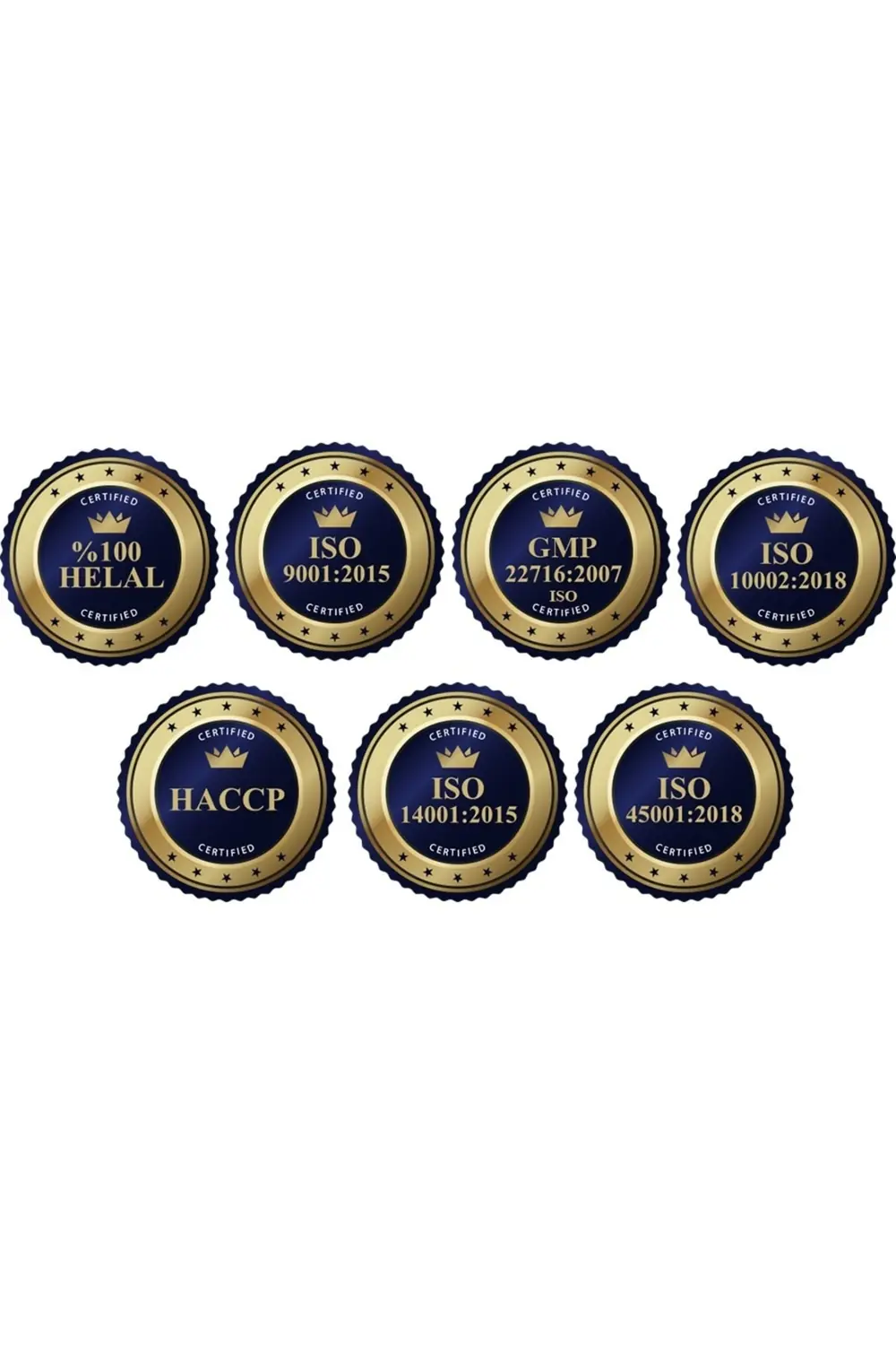 TORQ NUTRİTİON L-Carnitine 1500 MG 60 Tablet