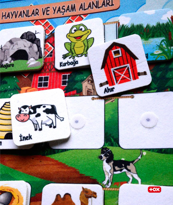 Ada Detox Tox ( Hayvanlar Ve Yaşam Alanları ) Keçe Cırtlı Aktivite Sayfası 