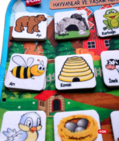 Ada Detox Tox ( Hayvanlar Ve Yaşam Alanları ) Keçe Cırtlı Aktivite Sayfası 