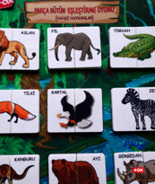 Ada Detox Tox ( Vahşi Hayvanlar ) Parça-Bütün Eşleşmeler Keçe Cırtlı Aktivi Ada Detox Tox ( Vahşi Hayvanlar ) Parça-Bütün Eşleşmeler Keçe Cırtlı Aktivi