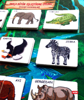 Ada Detox Tox ( Vahşi Hayvanlar ) Parça-Bütün Eşleşmeler Keçe Cırtlı Aktivi Ada Detox Tox ( Vahşi Hayvanlar ) Parça-Bütün Eşleşmeler Keçe Cırtlı Aktivi