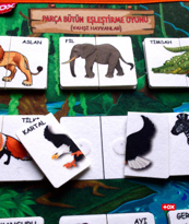 Ada Detox Tox ( Vahşi Hayvanlar ) Parça-Bütün Eşleşmeler Keçe Cırtlı Aktivi Ada Detox Tox ( Vahşi Hayvanlar ) Parça-Bütün Eşleşmeler Keçe Cırtlı Aktivi