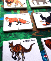 Ada Detox Tox ( Vahşi Hayvanlar ) Parça-Bütün Eşleşmeler Keçe Cırtlı Aktivi Ada Detox Tox ( Vahşi Hayvanlar ) Parça-Bütün Eşleşmeler Keçe Cırtlı Aktivi