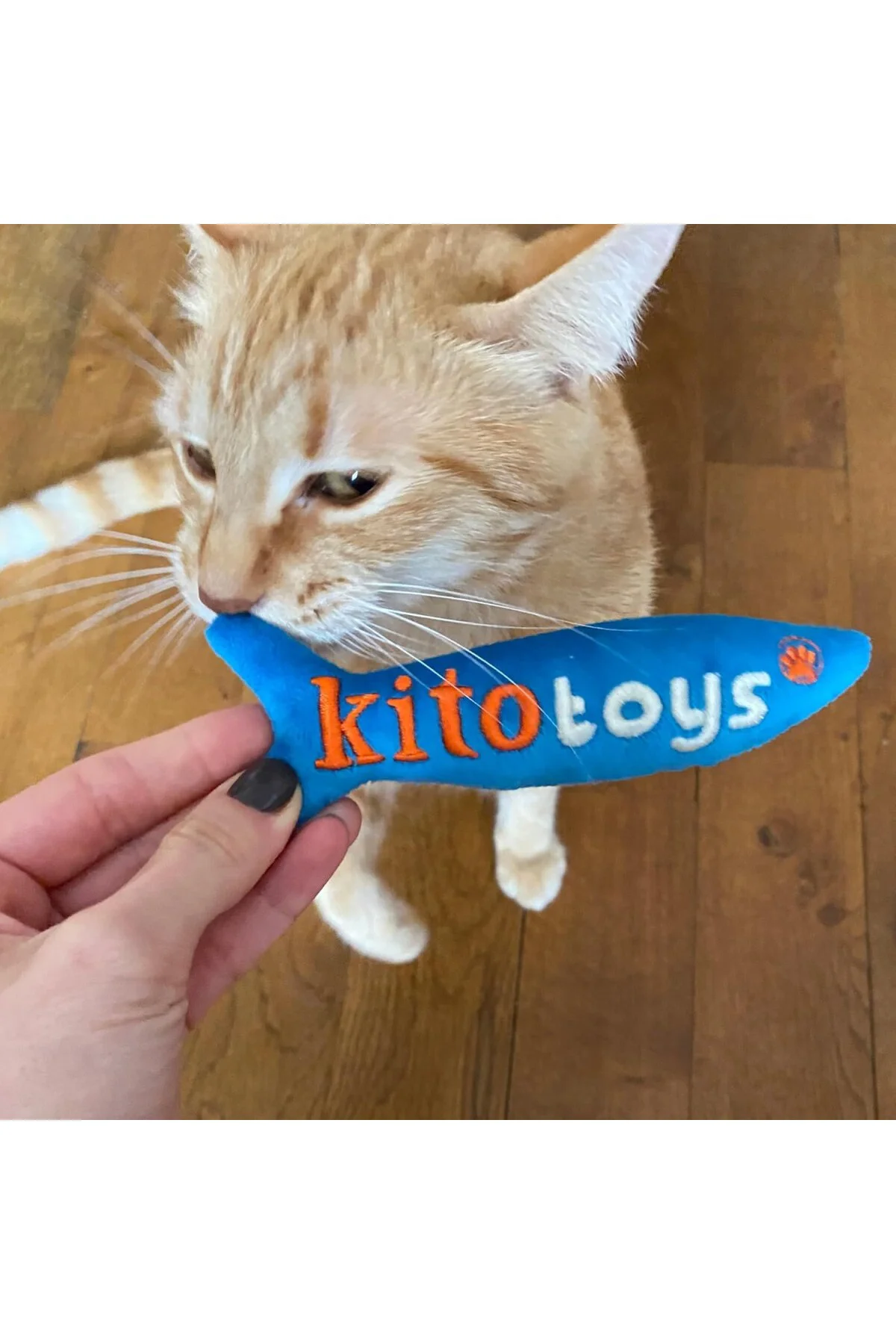 Toys Balık Peluş Kedi Oyuncağı