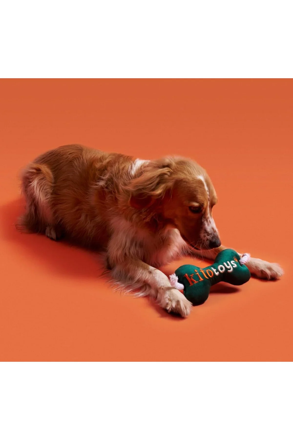 Toys Kemik Peluş Köpek Oyuncağı