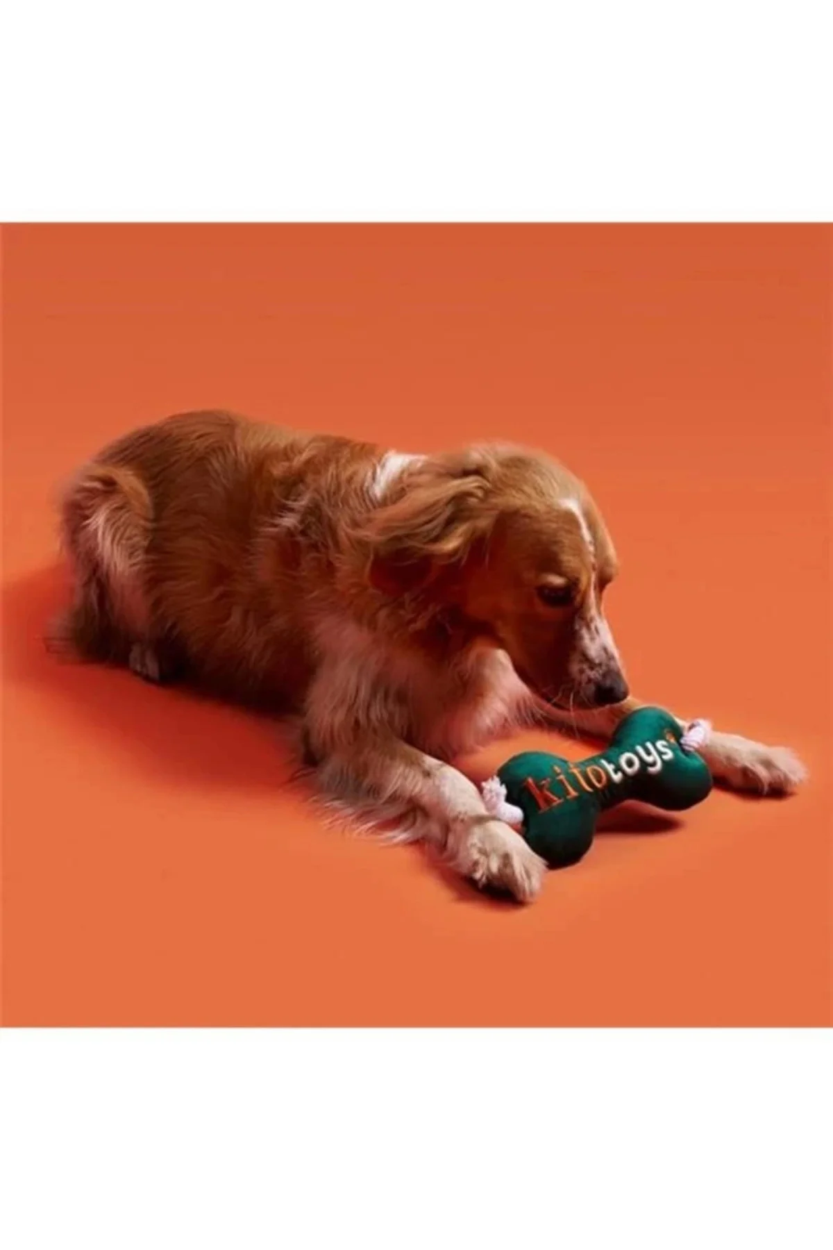 Toys Kemik Peluş Köpek Oyuncağı