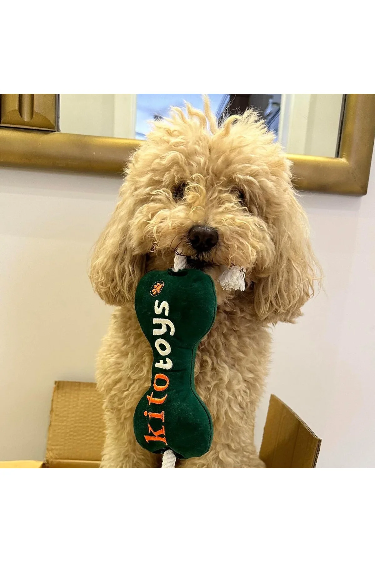 Toys Kemik Peluş Köpek Oyuncağı