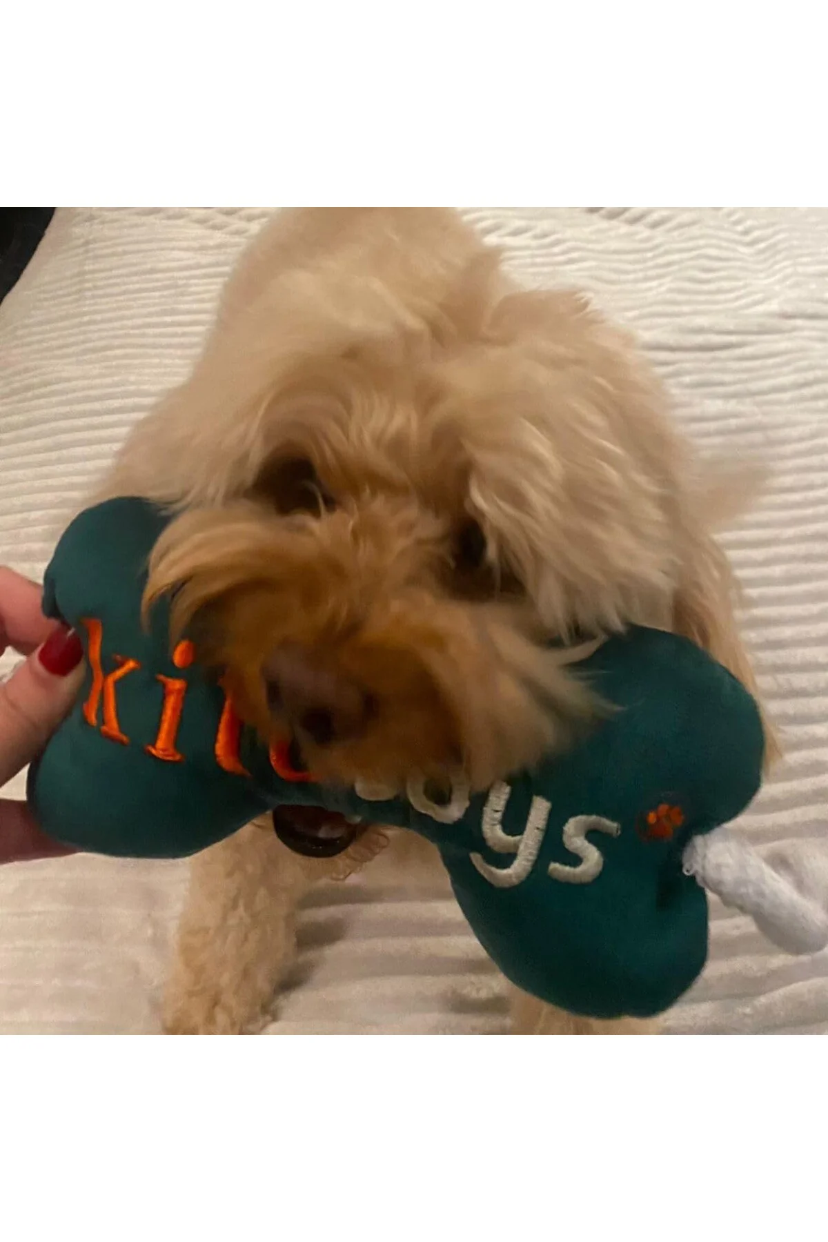 Toys Kemik Peluş Köpek Oyuncağı