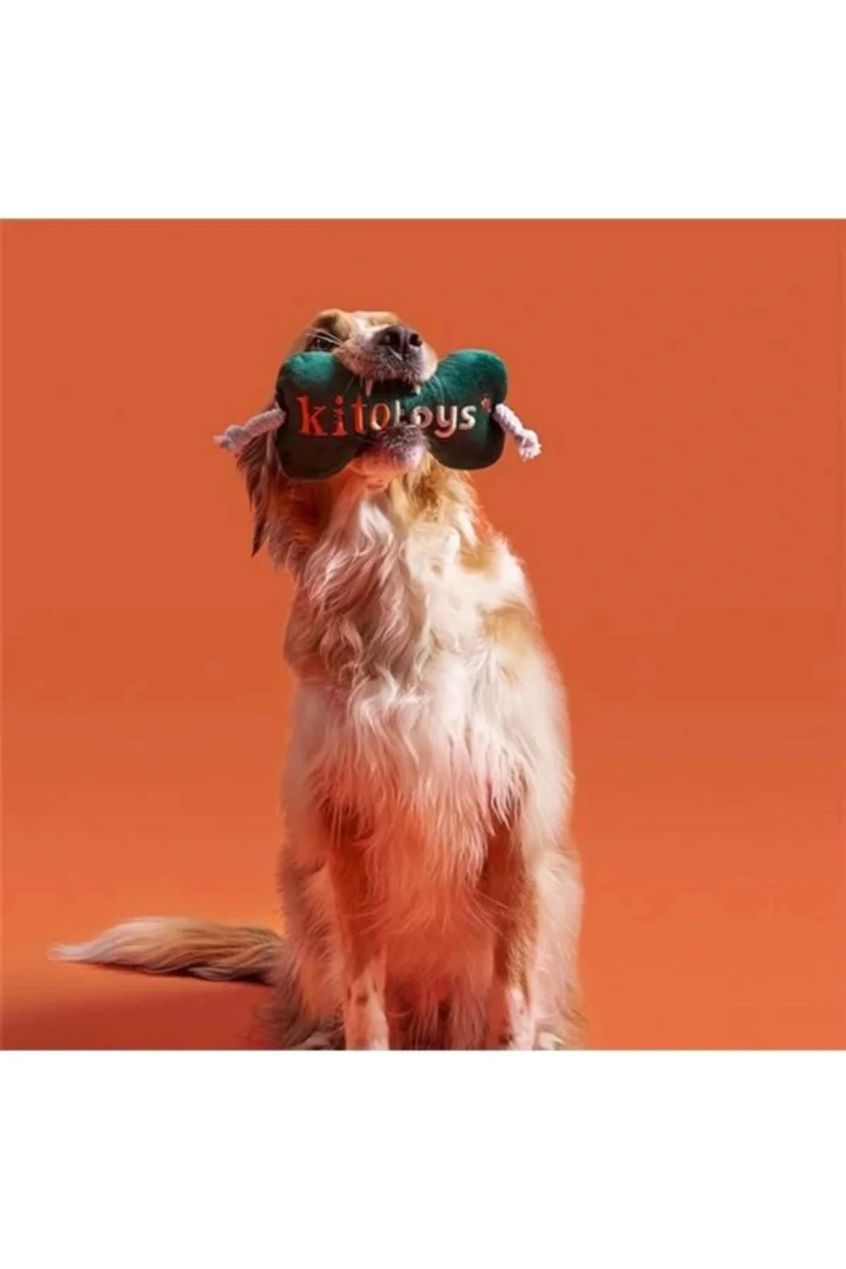 Toys Kemik Peluş Köpek Oyuncağı