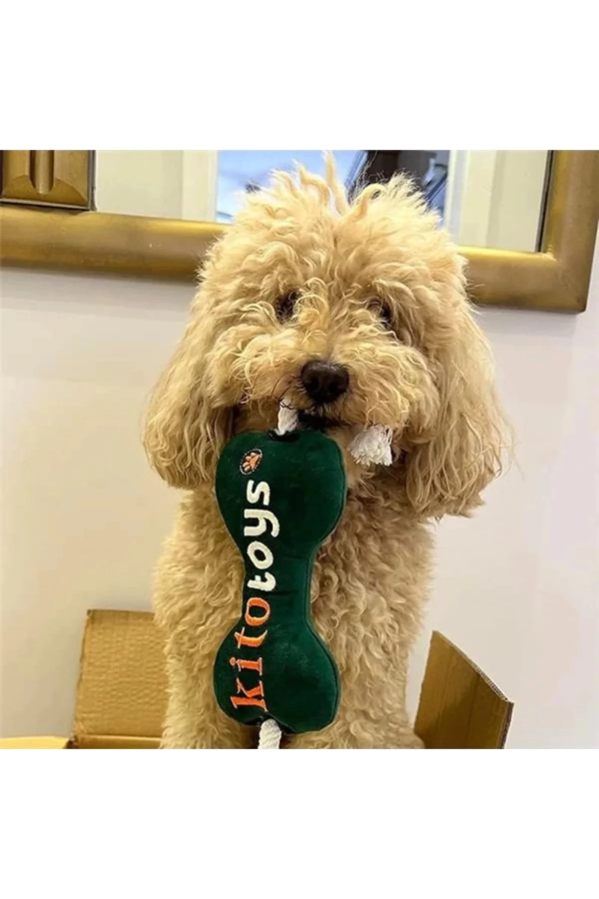 Toys Kemik Peluş Köpek Oyuncağı