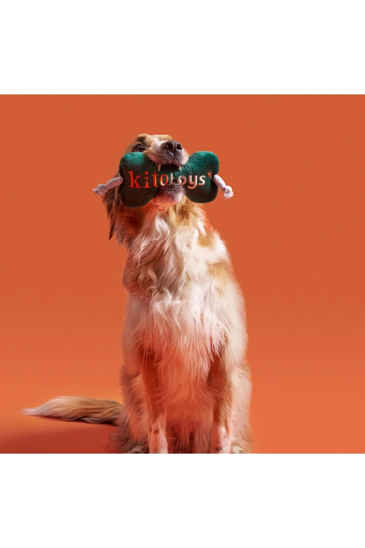 Toys Kemik Peluş Köpek Oyuncağı