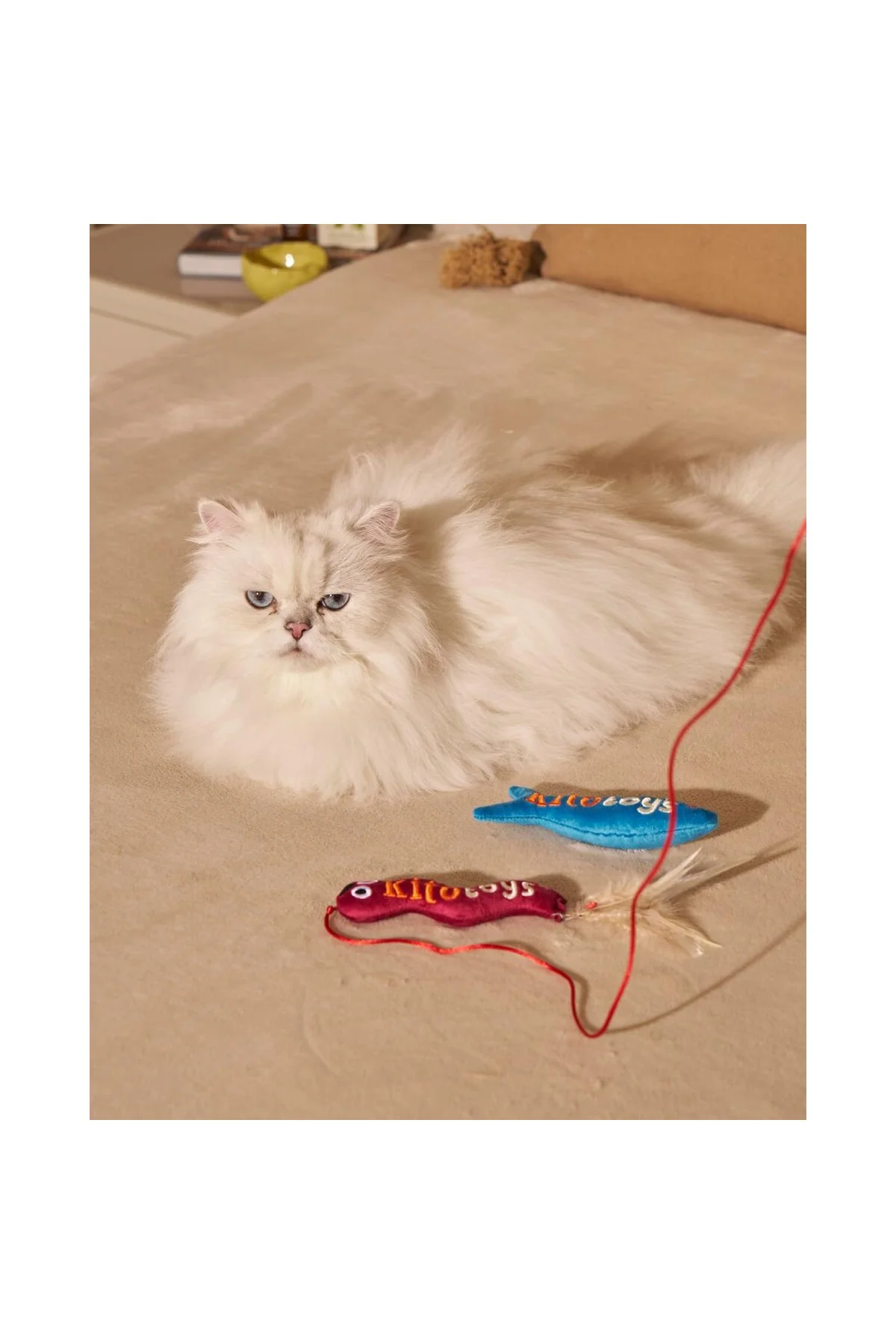 Toys Solucan (Olta) Peluş Kedi Oyuncağı