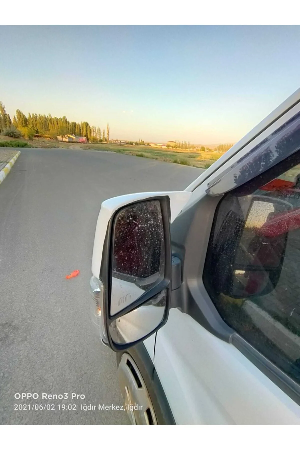 Transit 2014-2025 Beyaz Boyalı Yarasa Ayna Kapağı