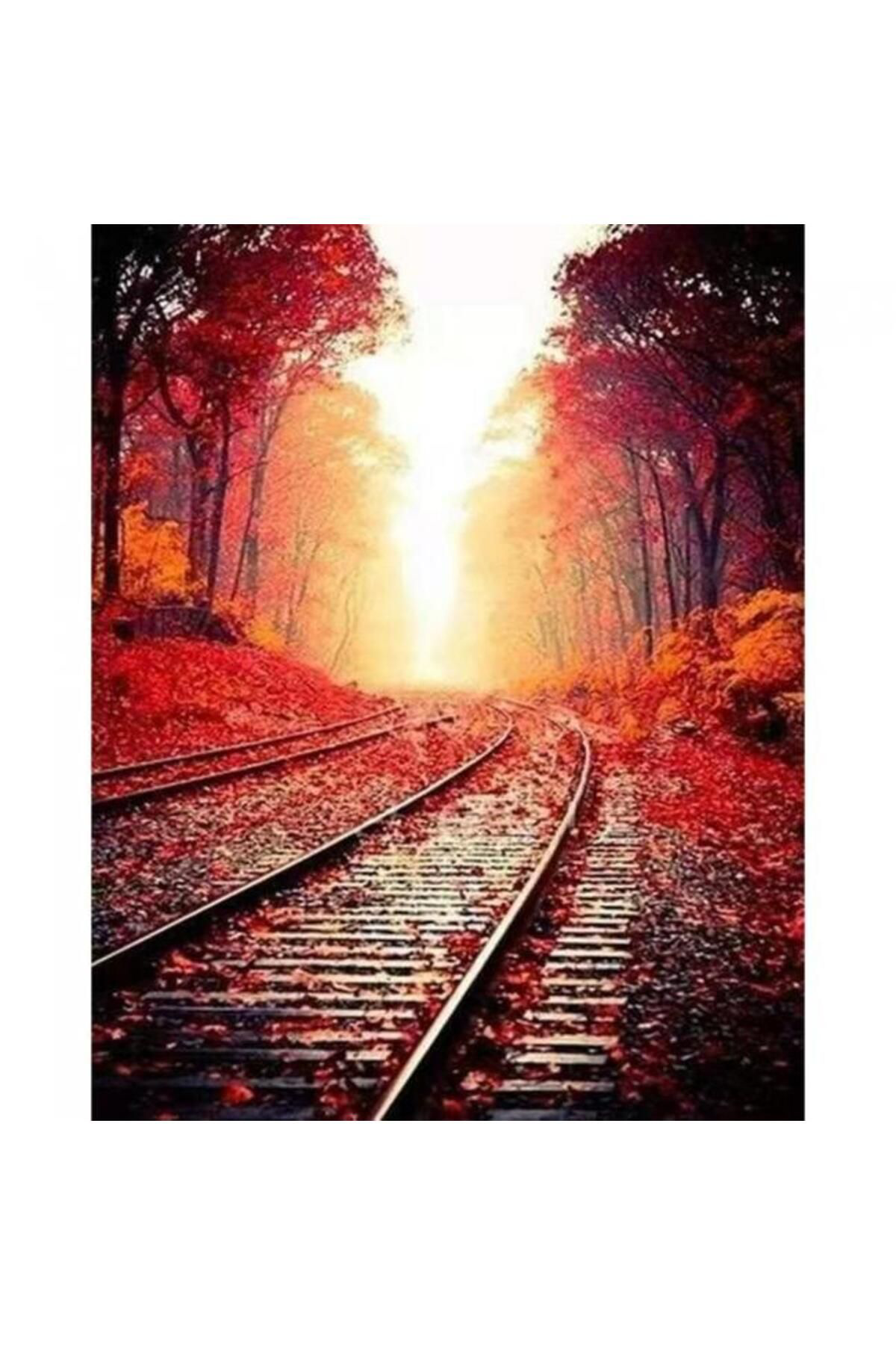 Dearesmu Tren Rayları Kasnakli Sayilarla Boyama Seti