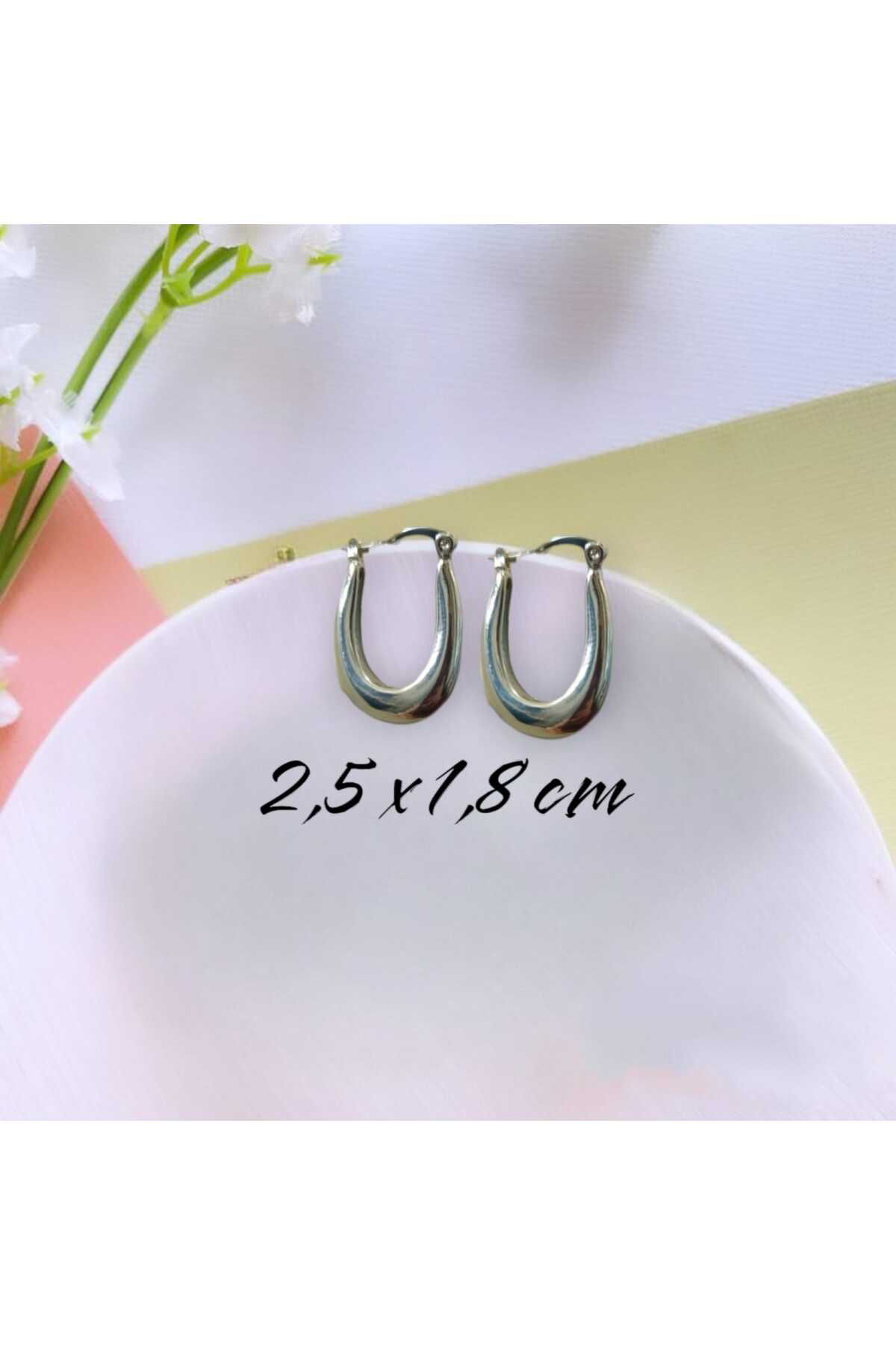 Bijuteri Küpe Trend Çelik Oval Küpe