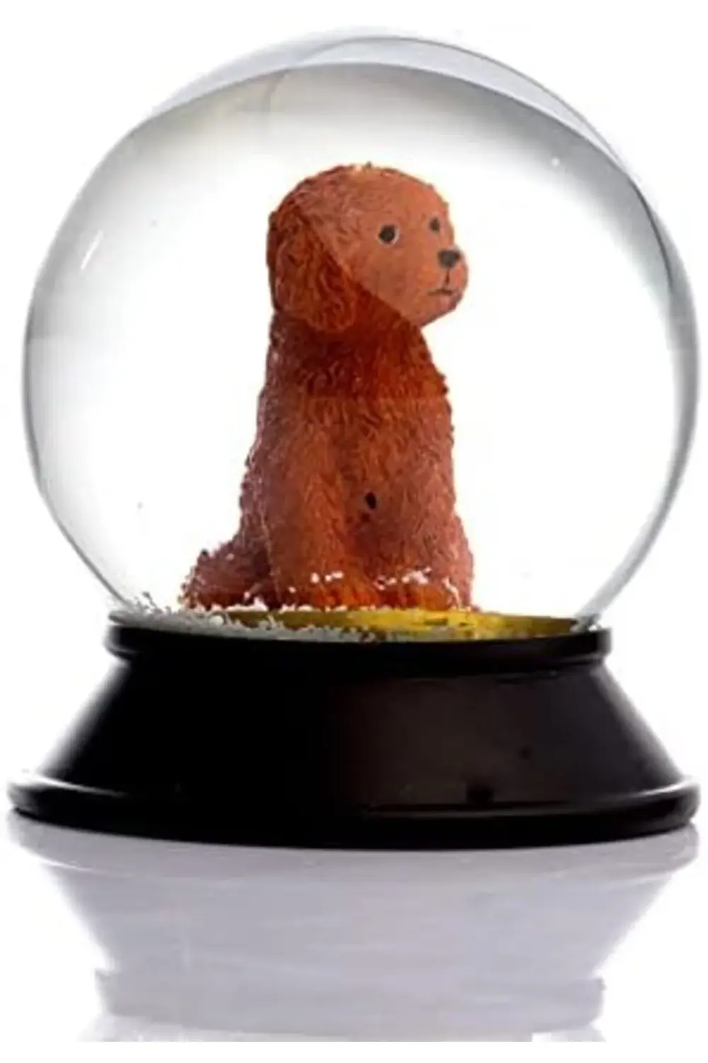 trendyglow Cam Ve Reçine Patiler Köpek Toy Poodle (tarçın) Kar Kü