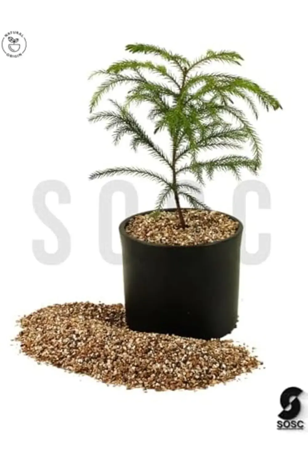 trendyloop 3 Lt trendflare 395519