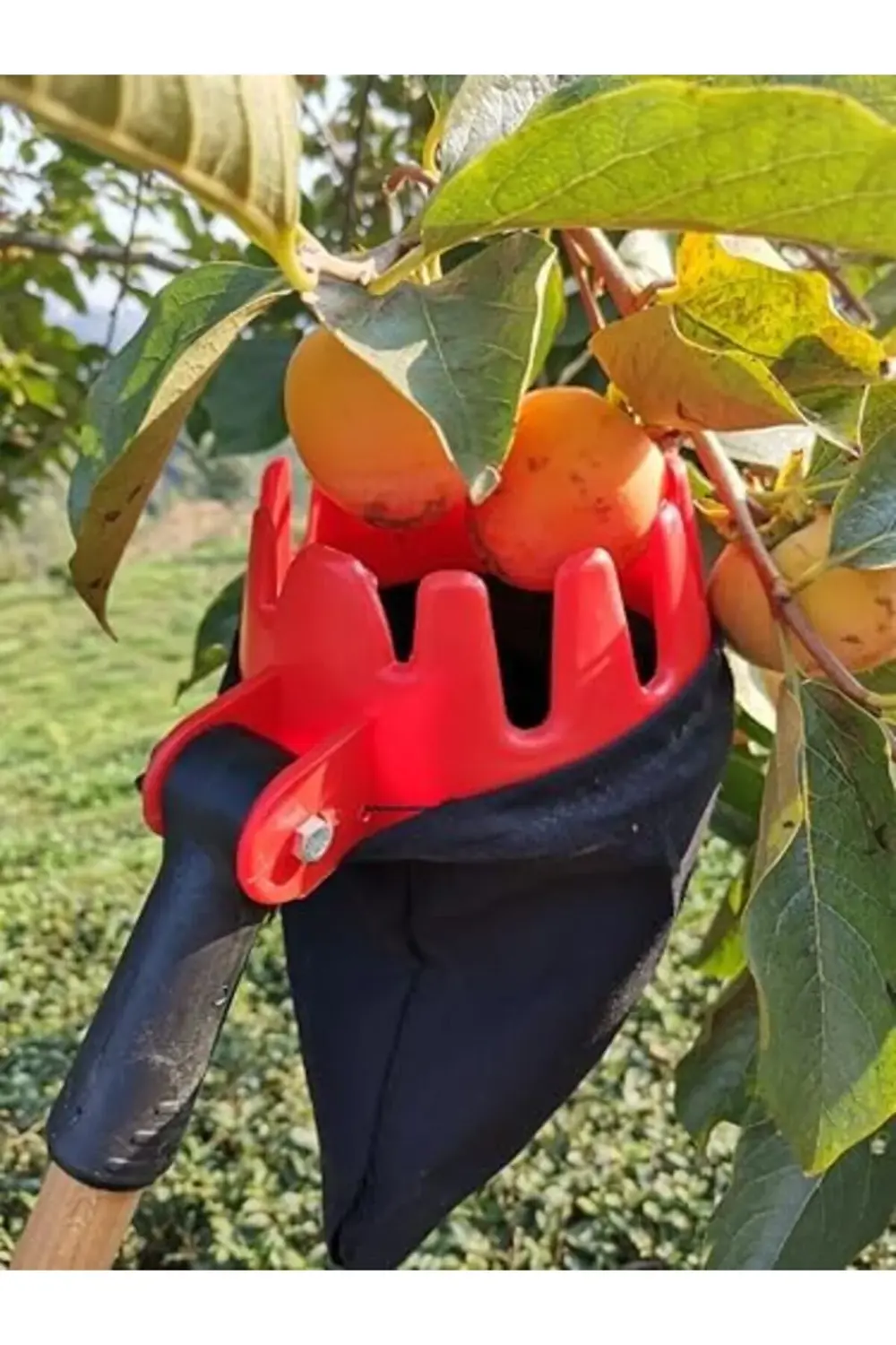 trendyloop MT-100 trendflare 395519