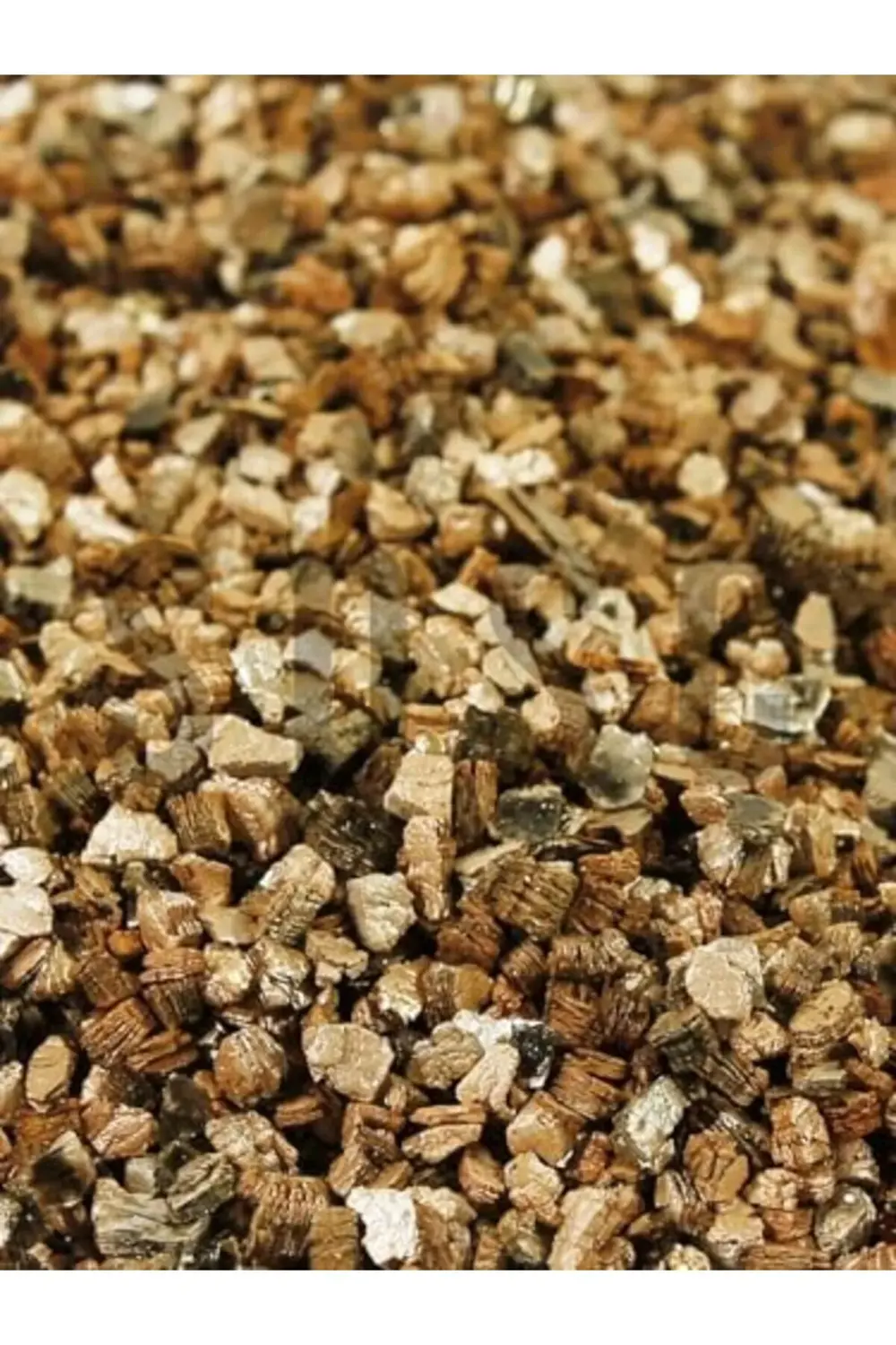 trendyvision 10 Lt buyflicker 395519