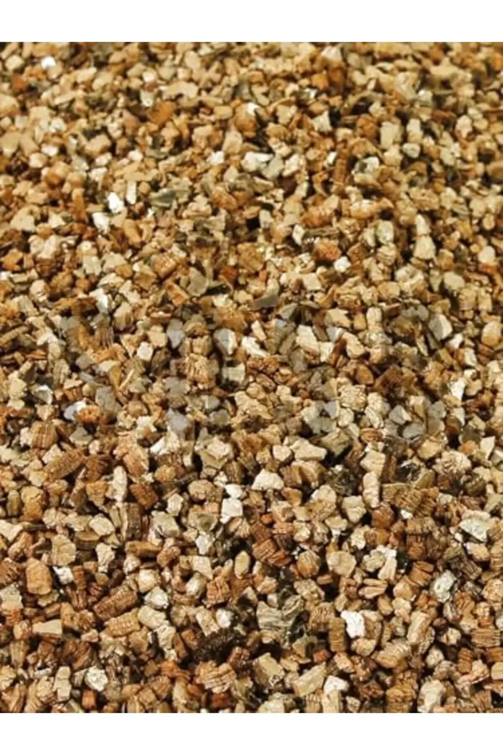 trendyvision 10 Lt buyflicker 395519