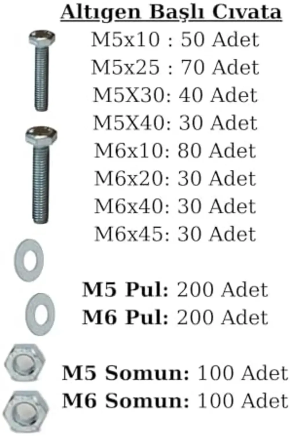 trendyvision 1600 parça 17 çeşit altıgen başlı Çelik Cıvata, Somu
