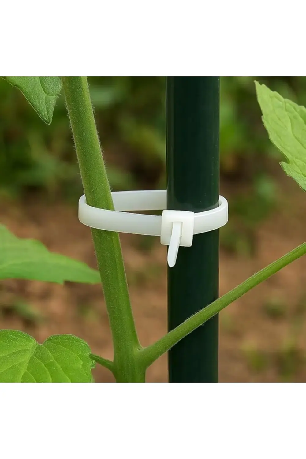 trendyvision 450mm Beyaz Kablo Bağı (100’lü Paket) – Dayanıklı Na