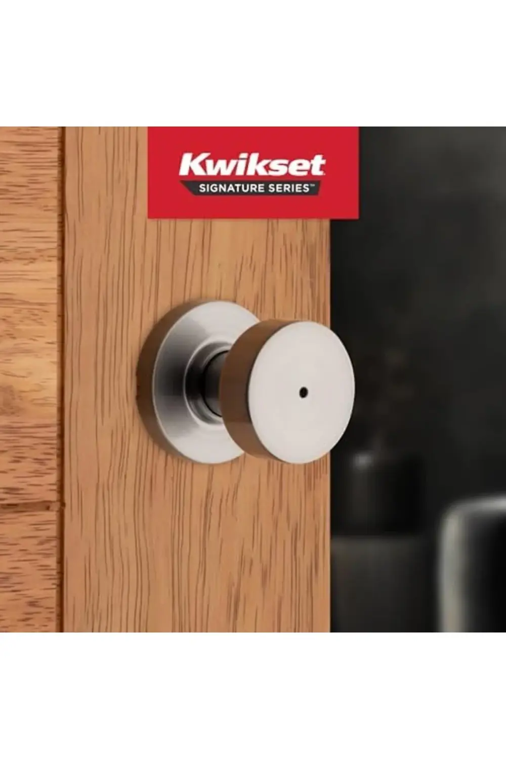 trendyvision 97300-933 Pismo Kapı Topuzu, Yuvarlak, Nikel buyflic